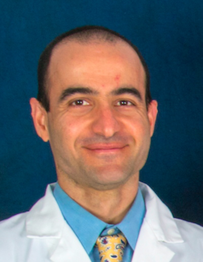 Dr. Neema Jamshidi, PhD