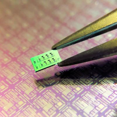 A 3 x 6-mm silicon chip with multiple SWED detectors