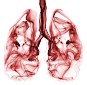 Smoking lungs