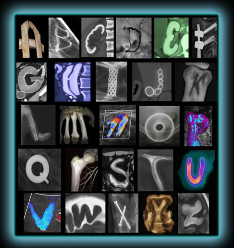 Alphabet made out of x-ray images